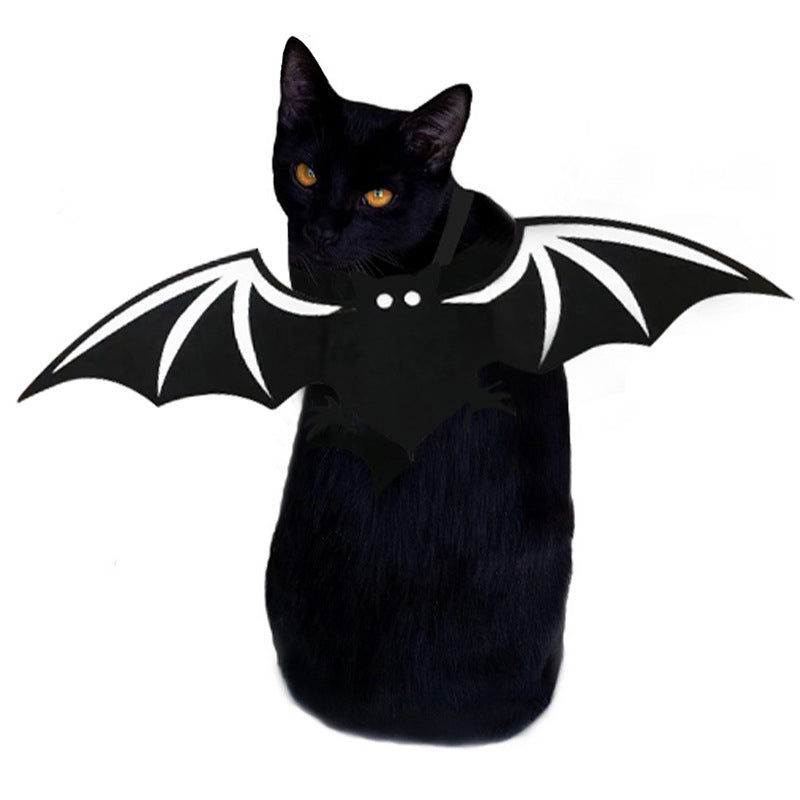 Ailes de chauve-souris pour chat et chien, vue 2