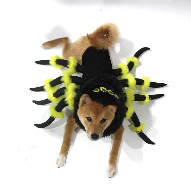 Déguisement araignée pour chien et chat