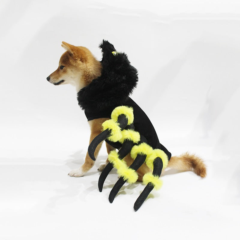 Déguisement araignée pour chien et chat, vue 3