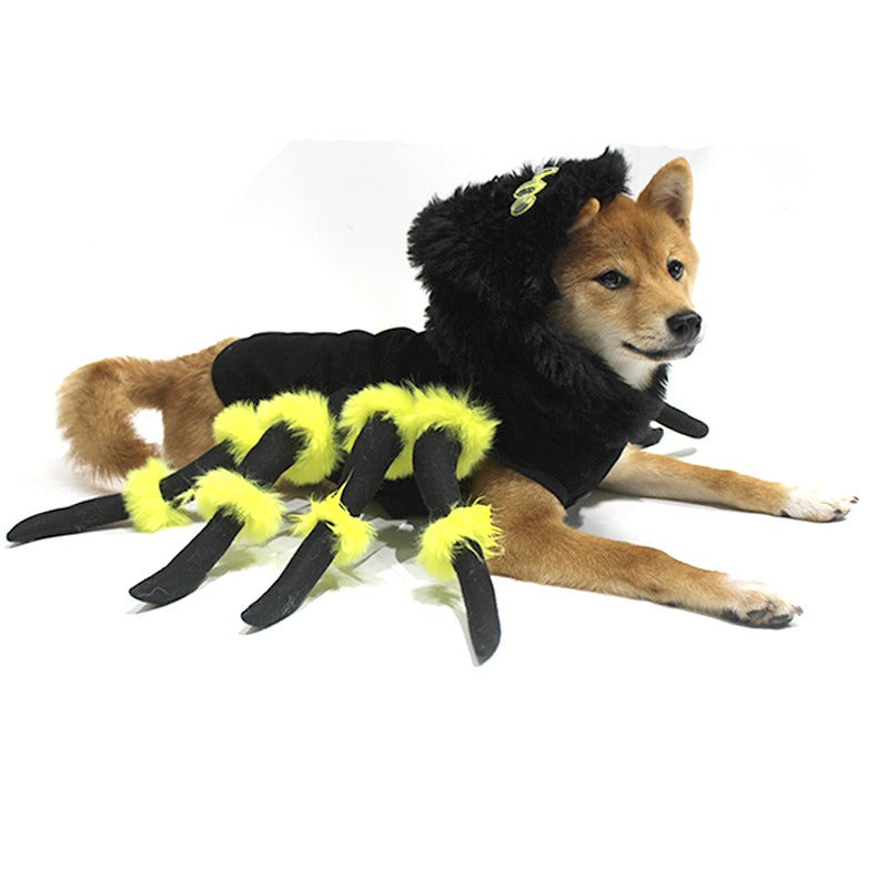 Déguisement araignée pour chien et chat, vue 4