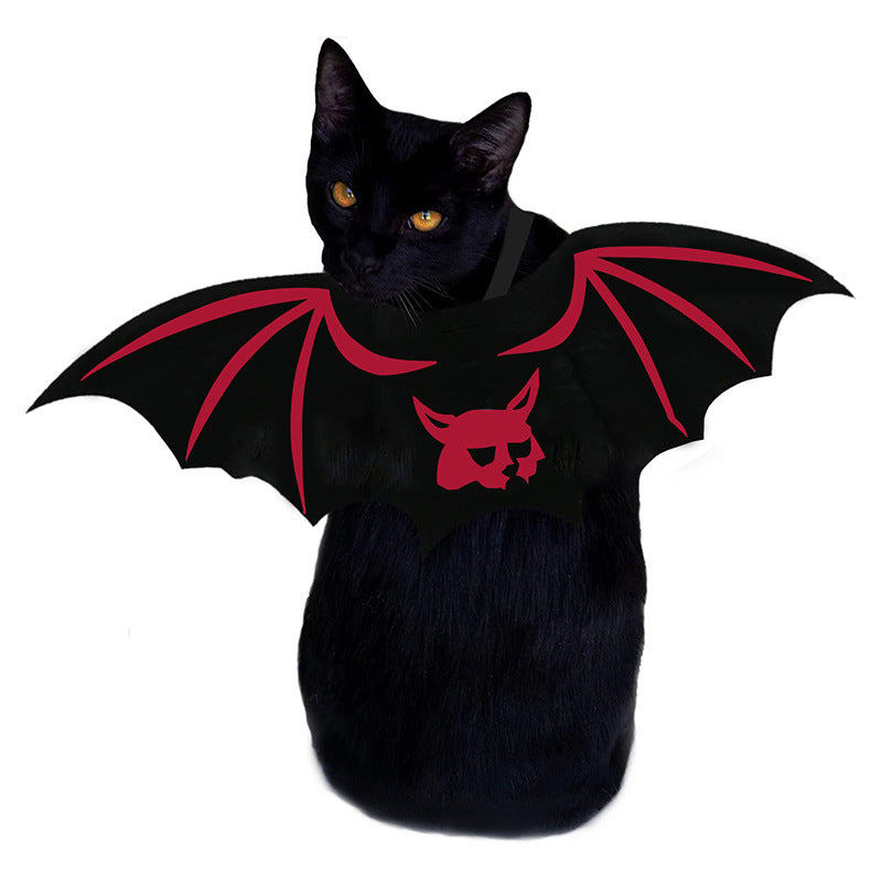 Ailes de chauve-souris pour chat et chien