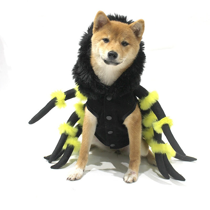 Déguisement araignée pour chien et chat, vue 6